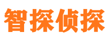 北屯镇市私家侦探